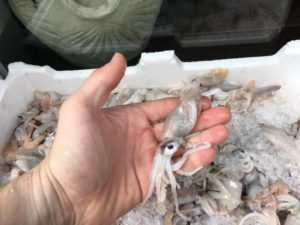 Calamarata con polpa di cicarelle e calamaretti