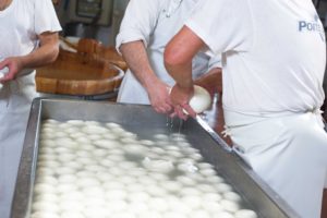 mozzarella campana premiata da Gambero Rosso Castelvoltuno