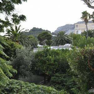 Capri