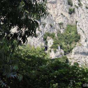 Capri