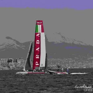 IMG_8174