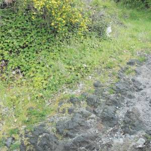 Parco Nazionale del Vesuvio