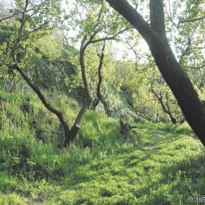 Parco Nazionale del Vesuvio