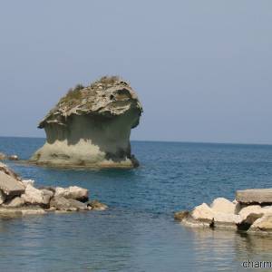 lacco ameno fungo