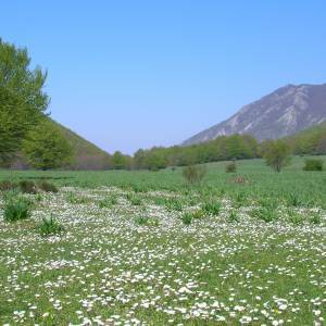 Campo di Summonte