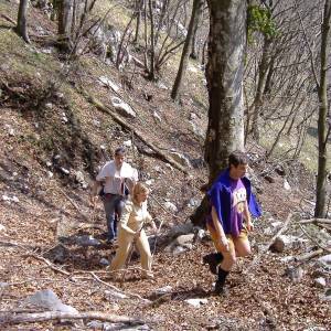Sentiero del Parco dei Camaldoli