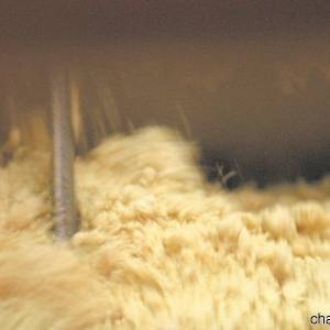 Mescola dell’impasto per la lavorazione della Pasta di Gragnano