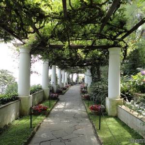 I lussureggianti giardini di Villa San Michele