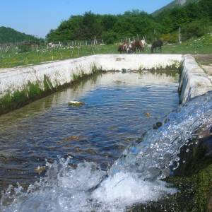 fonte Partenio