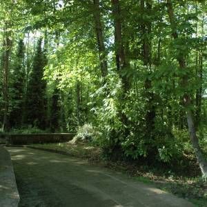 Parco dei Camaldoli