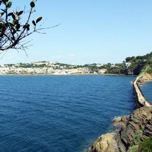 Procida vista dall’isolotto di  Vivara