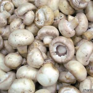 Funghi