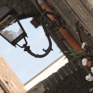 Casamale