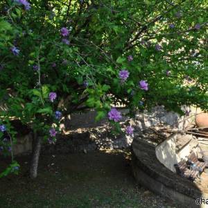 Basiliche paleocristiane di Cimitile