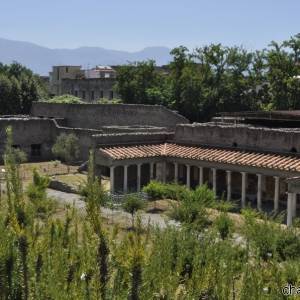 Gli scavi della Villa di Poppea