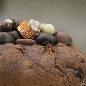 Panettone con cioccolatini di Vanilla