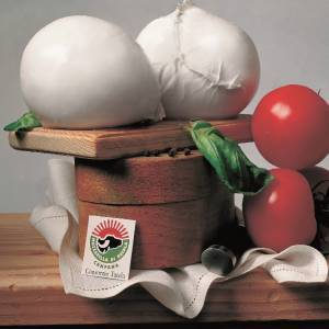 Mozzarella campana DOP