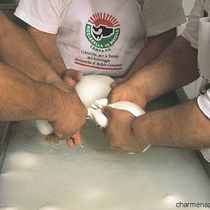 Mozzatura della mozzarella