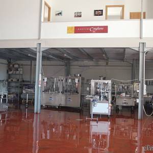 Area della produzione di Cantine Crogliano