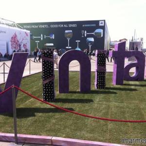 Vinitaly