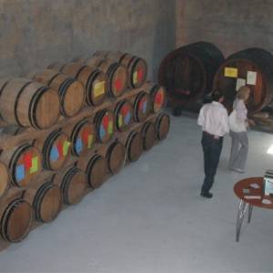 Cantine aperte 2013