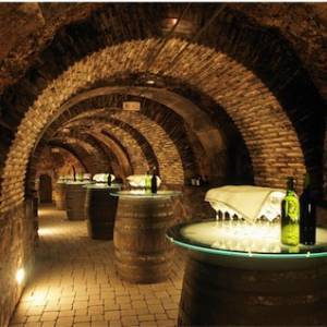 Cantine aperte 2013