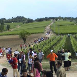 Cantine aperte 2013