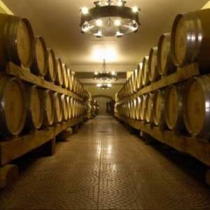 Cantine aperte 2013
