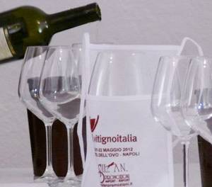 vitigno-italia-520