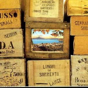 FOTO STORICA CASSE DI LIMONI Villa Massa Sorrento