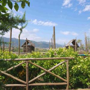 pergolati giardini Le Grottelle Villa Massa Sorrento.jpg