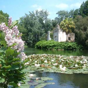 Reggia Giardino inglese laghetto con ninfee
