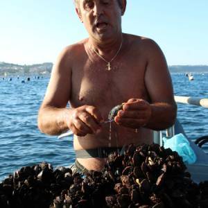 cozze decantazione Pozzuoli (ph Marina Sgamato)0