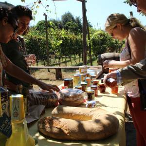 degustazioni (ph Marina Sgamato) (2)