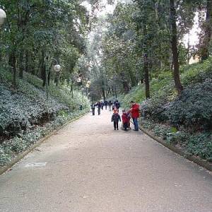 Viale della Floridiana