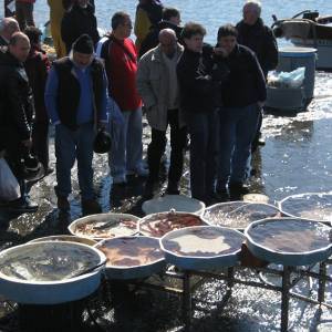 pescato a napoli