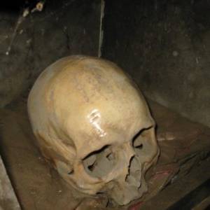 Il cranio che suda
