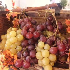 Grappoli d’uva