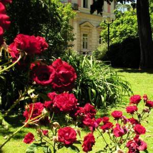 Roseto dell’orto botanico