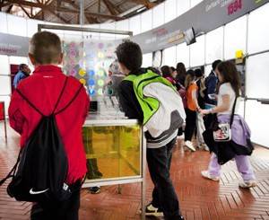 Iniziativa per le famiglie a Città della Scienza