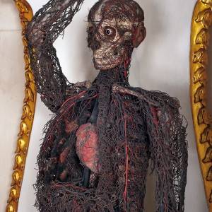 Una delle macchine anatomiche