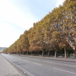 Via Caracciolo