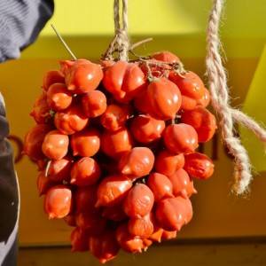 Pomodorino del piennolo