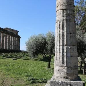 Gli scavi di Paestum