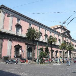 Il Museo Archeologico Nazionale di Napoli