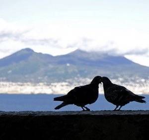 Innamorarsi a Napoli