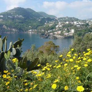 Ischia vista dal Castello aragonese
