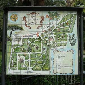 L’orto botanico di Napoli