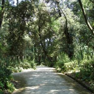 Il viale principale