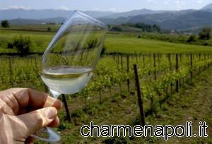 Lo spettacolo dei vini del Sannio a Vinitaly 2014